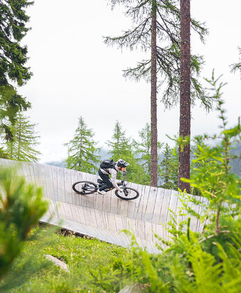 Eine Person fährt mit dem Mountainbike auf einer Holzrampe durch einen Wald mit hohen Bäumen und grünen Pflanzen.